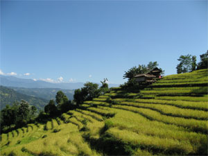 Arun Valley trekking