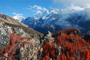 Langtang Ganja La Pass Trekking